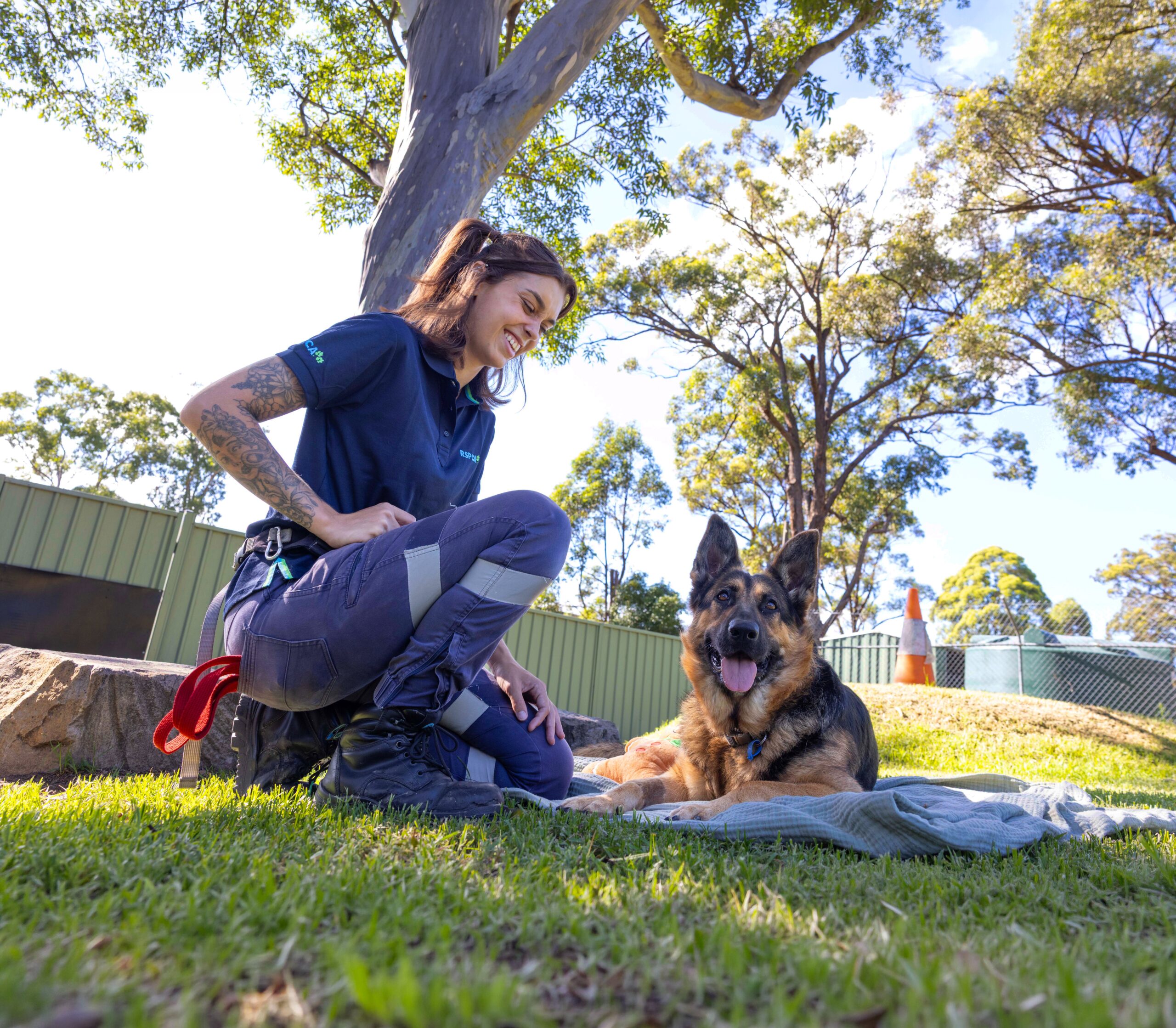 RSPCA_16_Feb_26_0544-edit-scaled.jpg